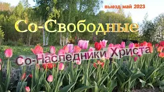 Выезд служений 