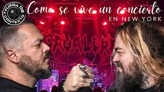 Como se vive un concierto en New York?