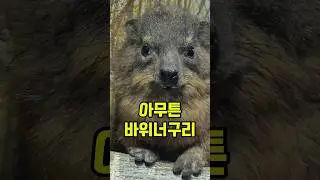 나의 사돈에 팔촌형님이 '코끼리'입니다만?