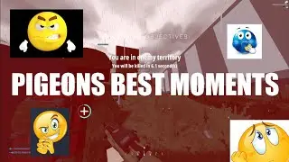 PIGEONS BEST MOMENTS