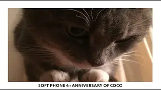 Your Call Is Important To Us... 1 Hour of Phone Hold Music (Soft Phone #4)
