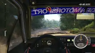WRC (Rally)