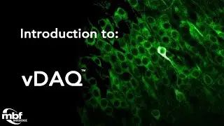 Introduction to: vDAQ