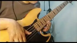 SMOOTH JAZZ BASS SOLO_Chilling sound.