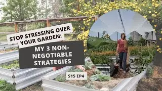 S15: E4: STOP Stressing Over Your Garden: My 3 Non-Negotiable Strategies