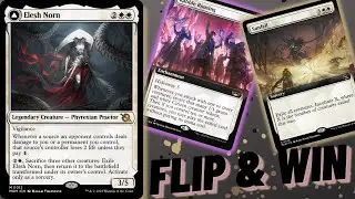 This Is Amazing BUT... | Elesh Norn | Historic Brawl MTG Arena