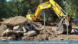 Little Bear Creek Advance Mitigation Site - 2024 Project of the Year