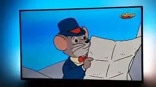 Приключения отважных кузенов на ТВ, в 2024 году! Фрагмент эфира канала Cartoon Classics (15.07.2024)