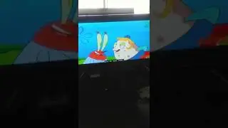SpongeBob squarepants-feral friends;Don't wake Patrick
