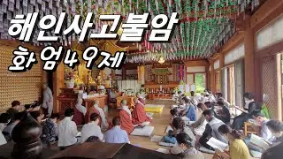 해인사고불암 화엄49제기도  Haeinsa Temple.#Shorts