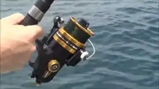 Rompin Sailfish No.3 on Penn 6500ss & 20lb (04.08.13)