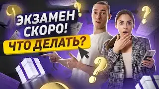 Как курс Предбанник поможет подготовиться к ЕГЭ и ОГЭ, если времени уже нет! | Умскул