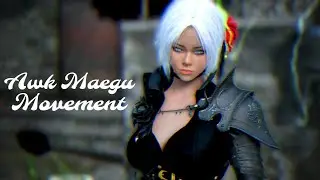 BDO Awakening Maegu Schmovin