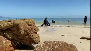 Beach Free Video For content crators