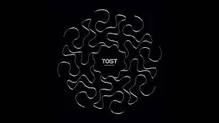 VADIM MUST - TOST