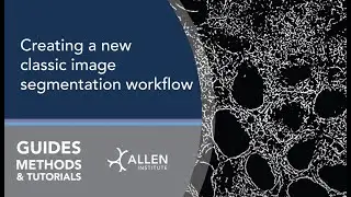 Allen Cell Structure Segmenter Tutorial | Creating a new classic image segmentation workflow