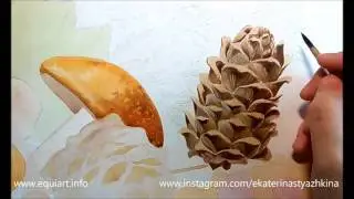 как рисовать кедровую шишку
