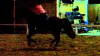 DSCF0467