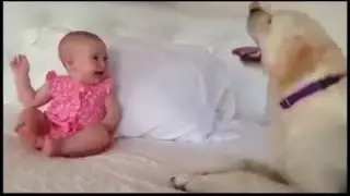 Cordel para o melhor amigo do homem