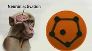 Stellaris Neuron Activation