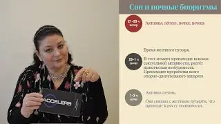 Сон и ночные биоритмы