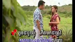 Sek Saom (Tree Parrot)