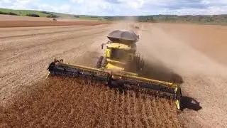 Colheita de soja 2019 - CR 8.90
