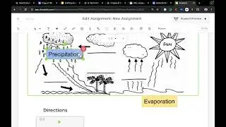 8 Tips for Designing UDL Assessments