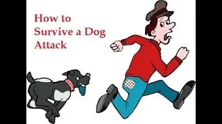 How to Survive a Dog Attack I Self Defence 2018