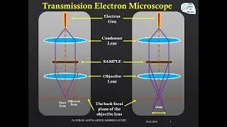 Transmission Electron Microscope| TEM | Principle, Construction, Working, and Applications of TEM