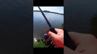 Лещик на рыбалке #рыбалкавидео #рыбалка #fishing