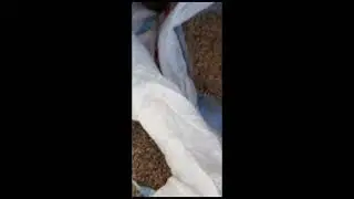 Отзыв о кормах