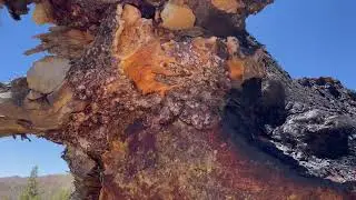 Лето + шашлык = каникулы. Коротка версия 4К