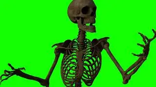 NO COPYRIGHT Green Screen - SKELETON FOR HALLOWEEN