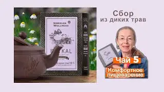 Чай 5 для комфортного пищеварения и баланса микрофлоры кишечника Siberian Wellness Сибирское.