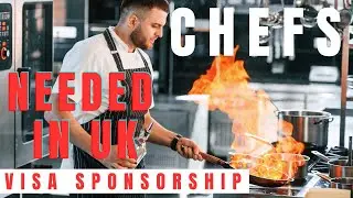 Chefs Needed in The UK | VISA Sponsorship #ukvisa #india