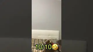 КТО ЛУЧШЕ СТАНЦУЕТ? ЧЕЛЛЕНДЖ! 2 ЧАСТЬ