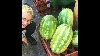 кристи дропнул DADDy GUAp
