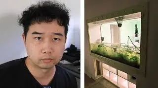 this was a complete disaster... | Fish Tank Review 321