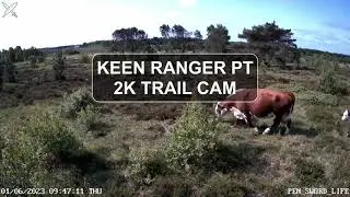KEEN RANGER PT 2K TRAIL CAM