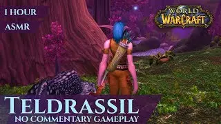 Vanilla Teldrassil - Gameplay No Commentary - Part 3, ASMR (1 hour, 4K, World of Warcraft Classic)