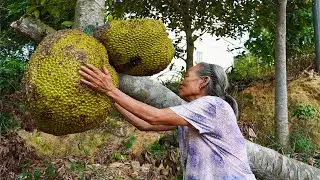 阿婆用菠蘿蜜，給放假的孫女做一道美味餐，看著特殊，其實很美味 | Grandma's Chinese delicacy made with jackfruit |  广西 美食 | 玉林阿婆