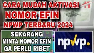 Cara Mudah Aktivasi Permohonan Nomor Efin NPWP Terbaru 2024 Tanpa Ribet