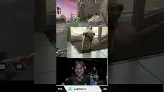 hardecki FUCK ALL o7 on LAN LA 2024 FINAL #apex #playapex #apexlegendsclips #apexlegends #shorts
