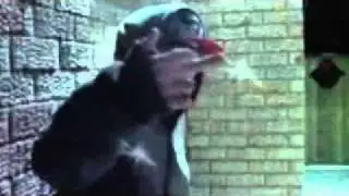 ***0FFICIAL VIDEO 2011*** "Take Off" - Young T feat. Kay-T