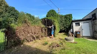 Cutting Thuja - Satisfying Garden Work | Episode#109