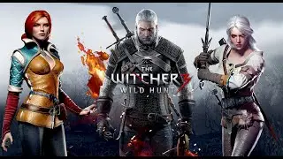 The Witcher 3: Wild Hunt  