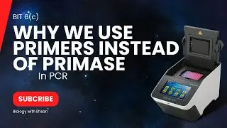 BIT:6(c)| why we use already synthesized primers in pcr instead of primase enzyme