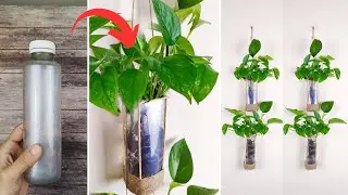 How to make amazing hanging pot using plastic bottles | Indoor Gardening ideas | Hanging plant ideas