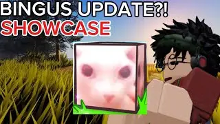 NEW BINGUS FRUIT SHOWCASE?!!!